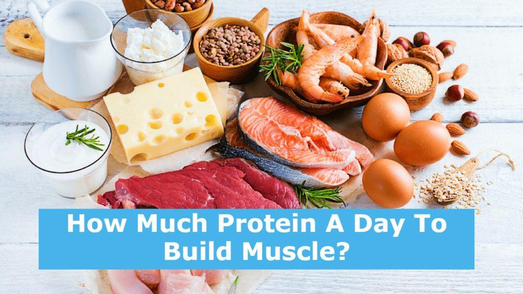 How Much Protein A Day To Build Muscle?
